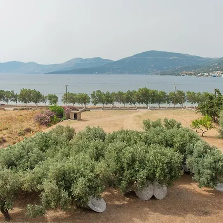 Marmari View *